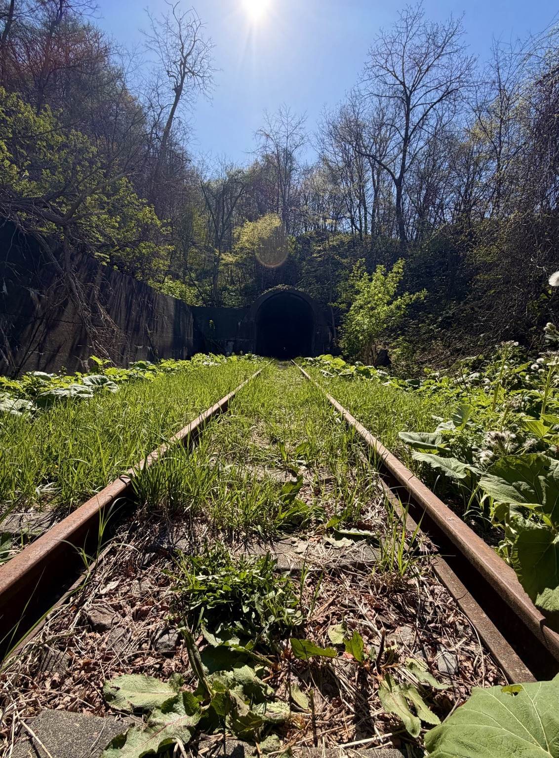 トンネルの向こうは、不思議な町でした。