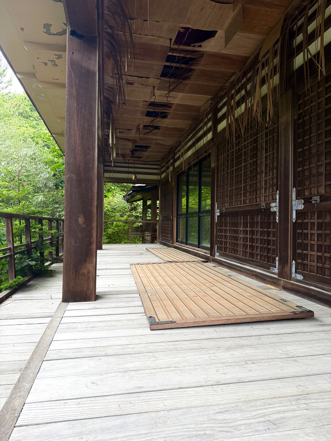 山奥の薮深き廃寺 4